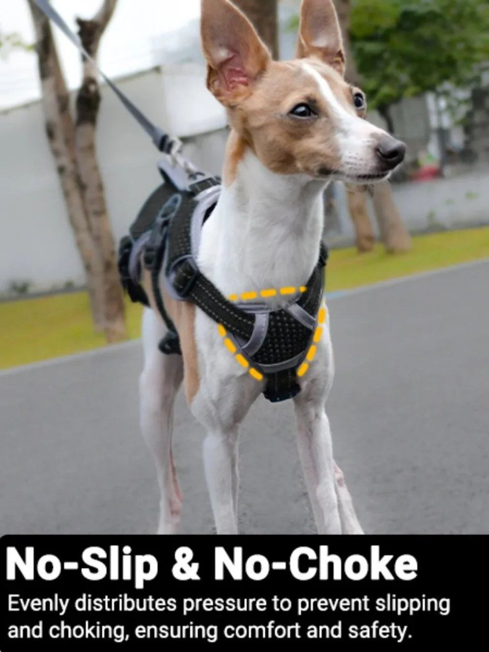 BELPRO Dog Harness size M